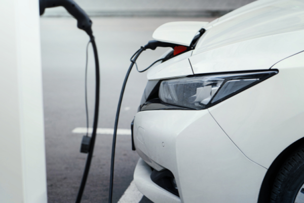 Tesla insurance are rising